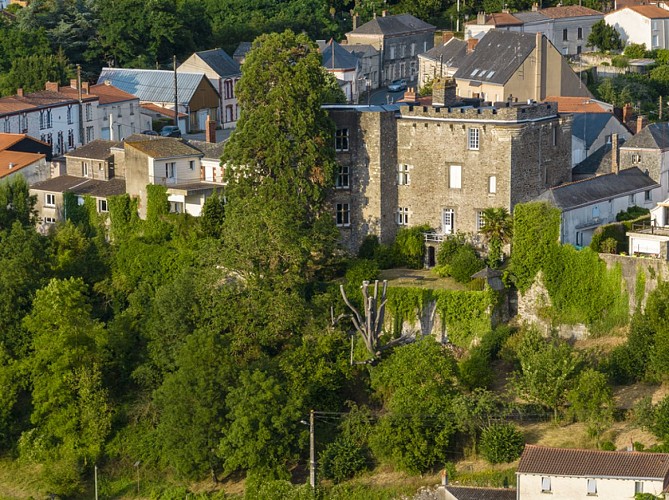 Château et ville fortifiée de Foulques Nerra