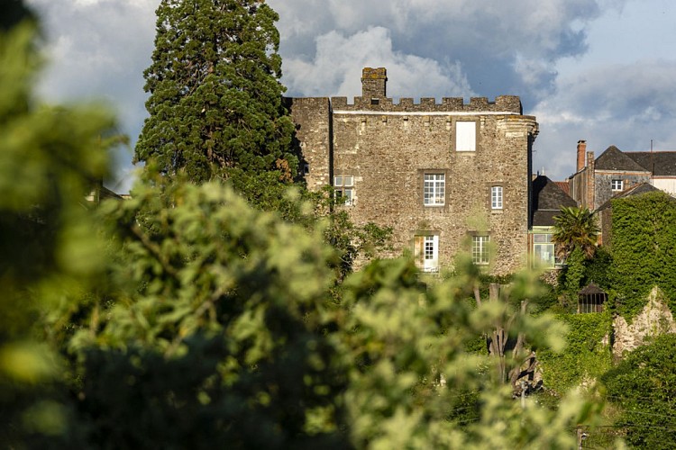 Château et ville fortifiée de Foulques Nerra