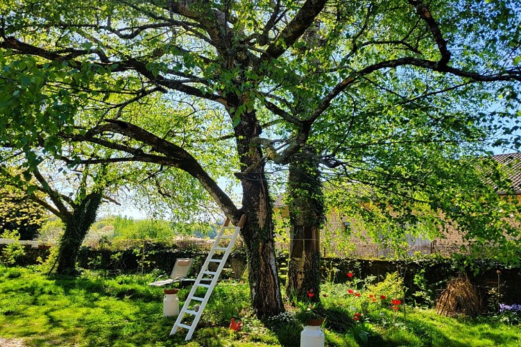 Jardin Fauves - Vayres