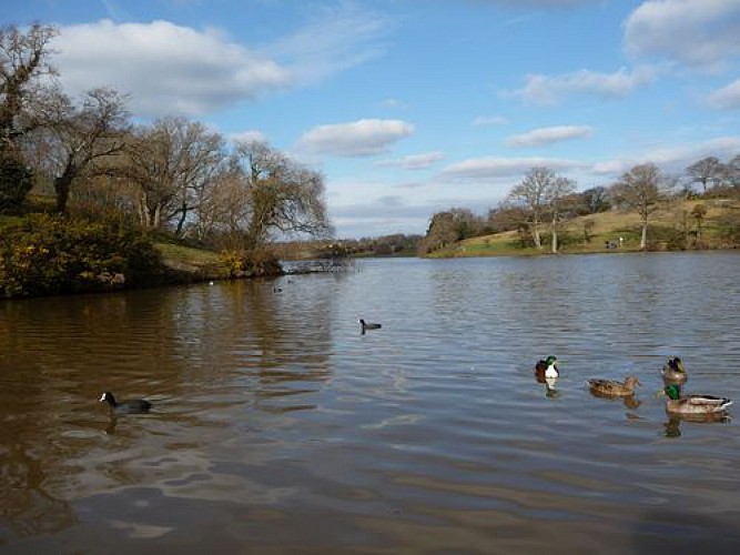 PECHE ETANG DU VAL SAINT MARTIN