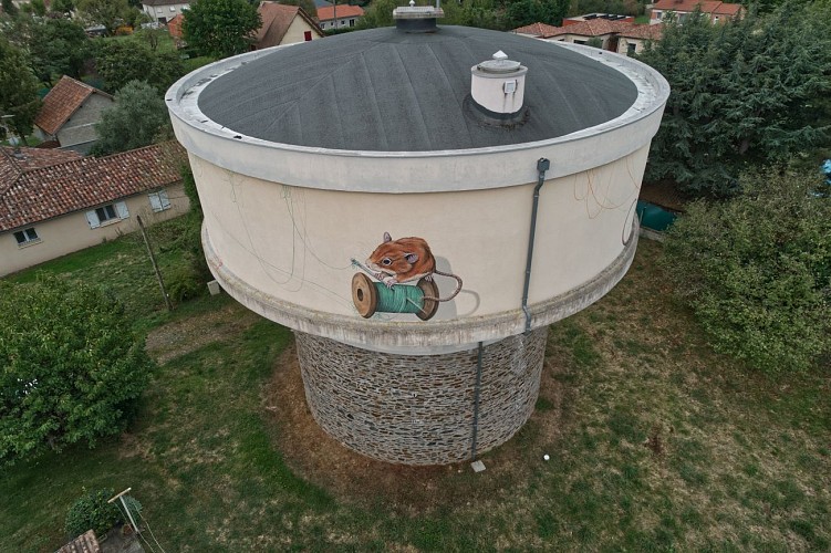 Oeuvre Steeven Salvat