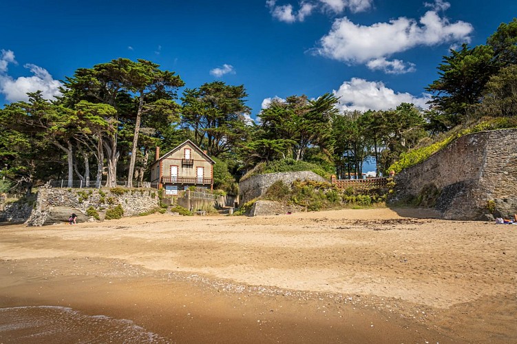 Les roches dorées - Plage de la Rinais