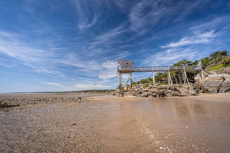 Les roches dorées - Plage de la Rinais