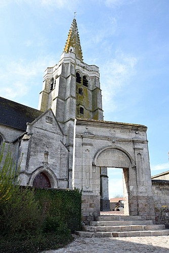 Église Saint-Martin de Savy-Berlette