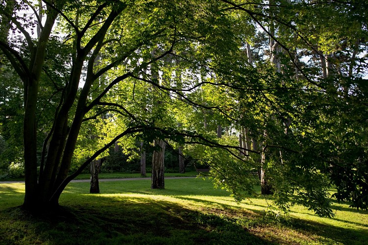Parc Floral de Paris (fiche historique)