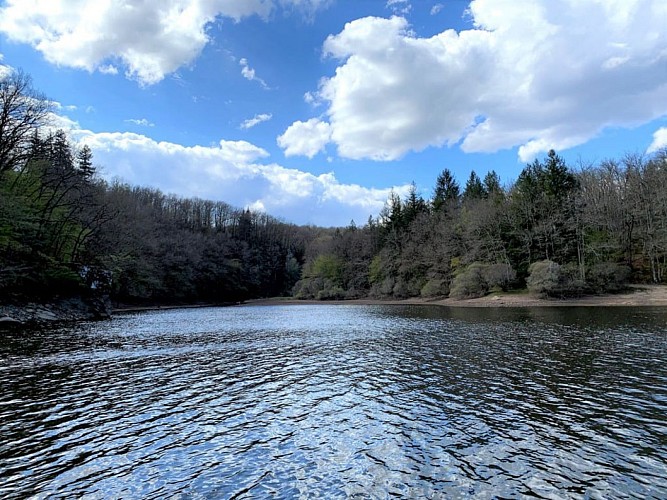 Pêche en Limousin au Pont du Dognon carpe silure brème perche