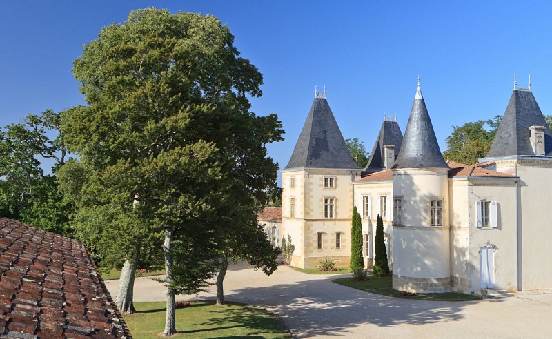 Chateau Escot