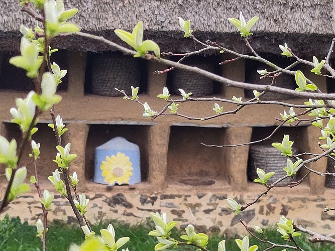 Mur à abeilles