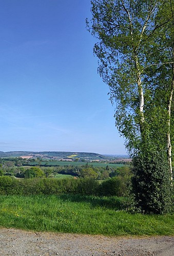 image du object