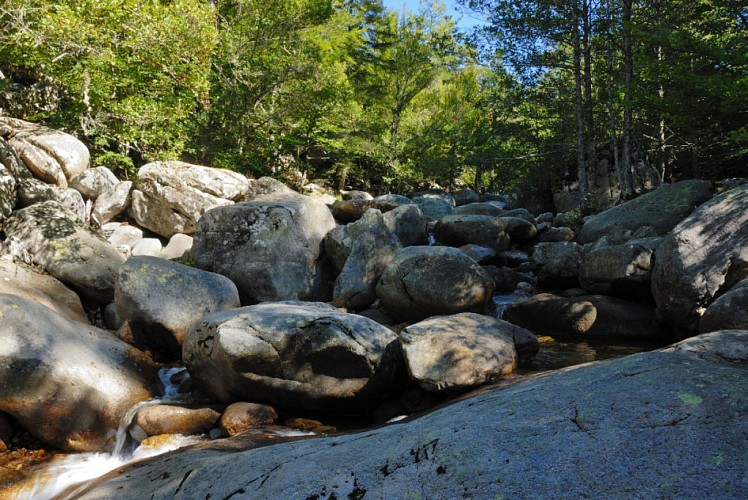 L'Aïtone au droit e la carrière