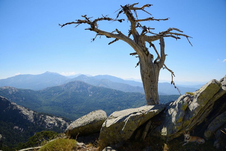 Quelques mètres sous le point 1726