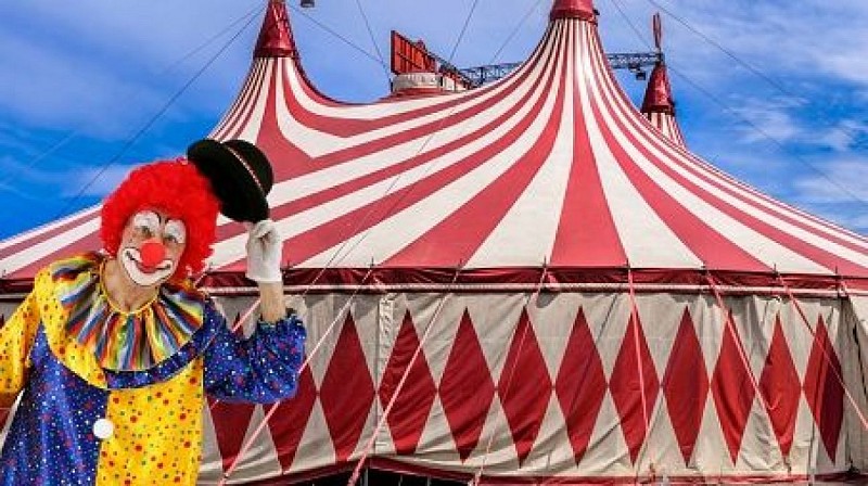 Spectacle de cirque - Couleurs parasol