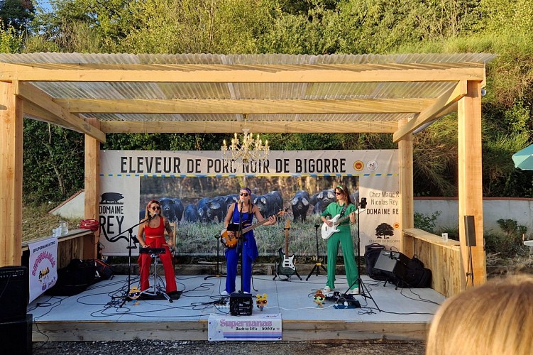 Guinguette du Domaine Rey