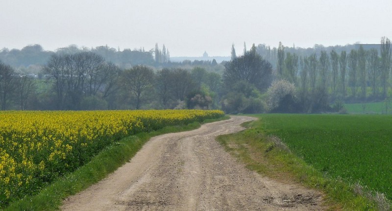 image du object