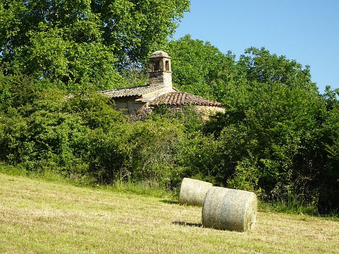 Image du poi