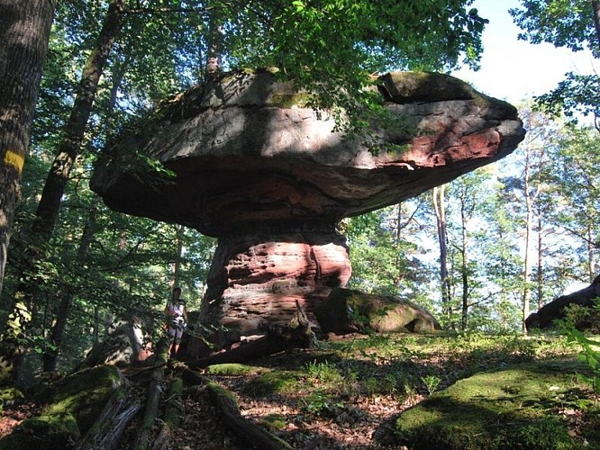 image du object