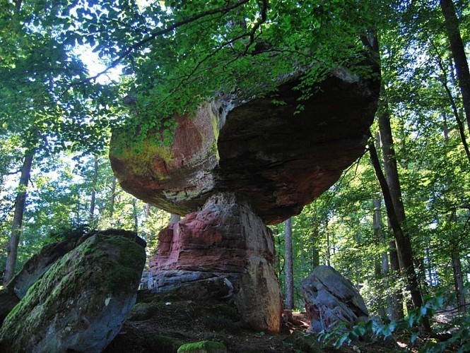 Rocher du Pilsfels