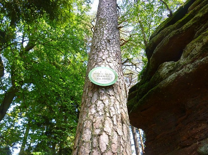 Rocher de la Guérite