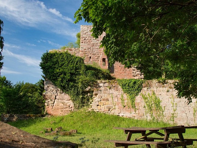 Château de la Wasenbourg