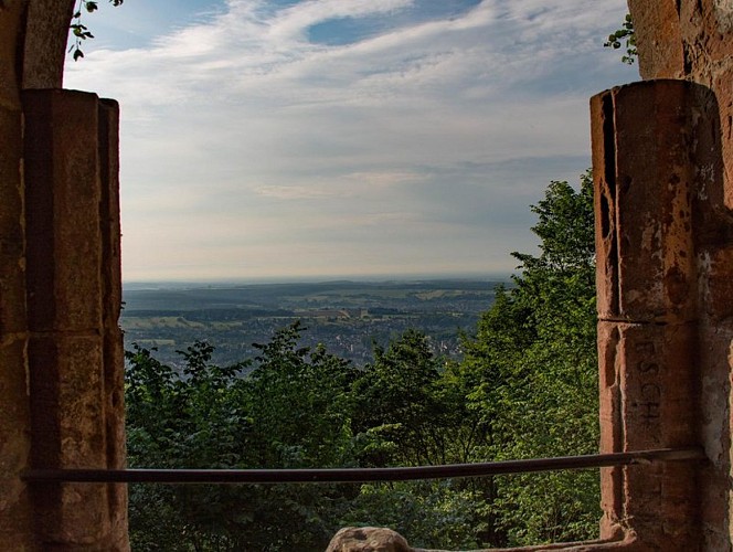 Vue du château de la Wasenbourg