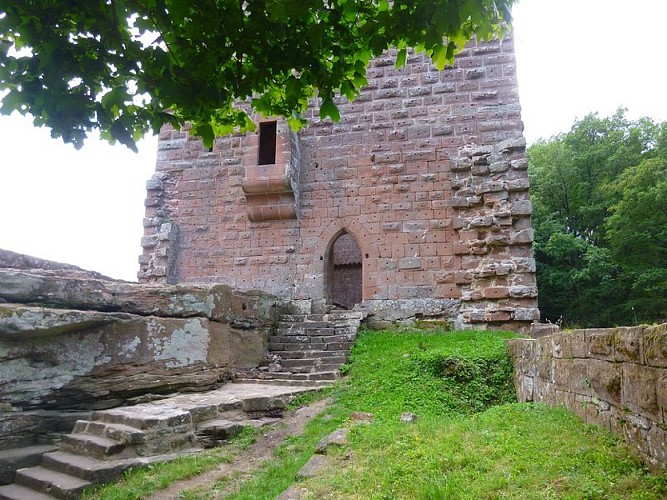 Le château de la Wasenbourg