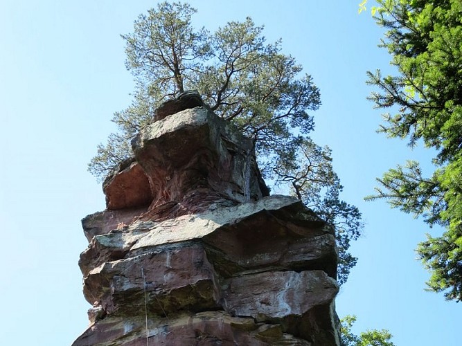 image du object