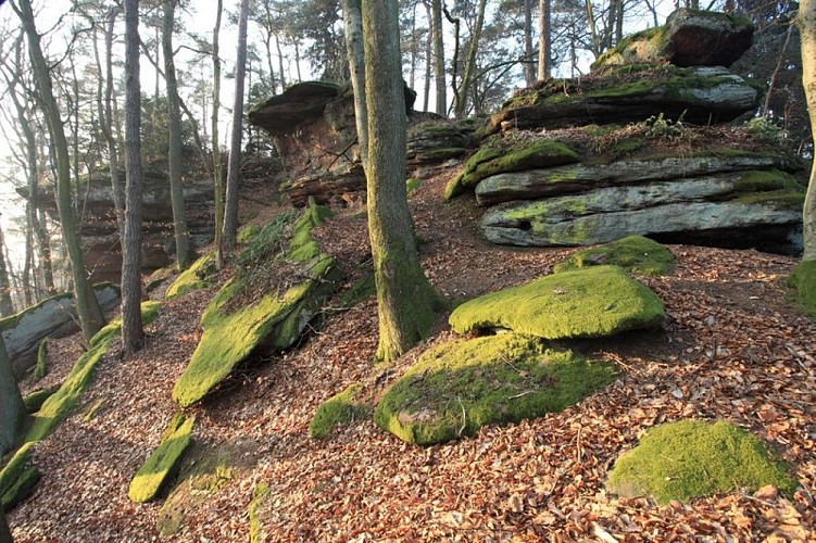 Rocher du Hammelsberg