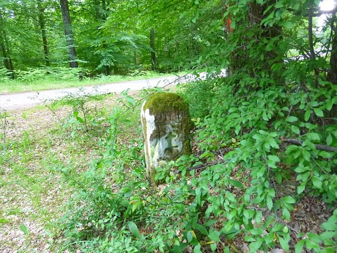 Borne frontière du 13e siècle