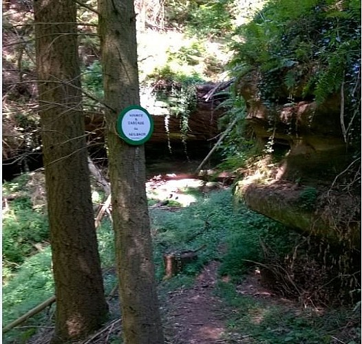 image du object
