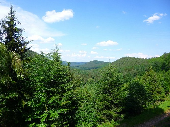 Vue depuis le Col du Petit Dunkelthal