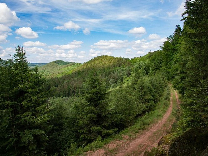 Vue depuis le Col du Petit Dunkelthal