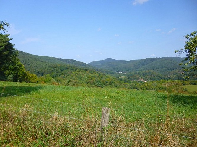 Point de vue sur la vallée de la Lauter et le village de Weiler
