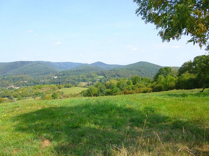Point de vue sur la vallée de la Lauter et le village de Weiler