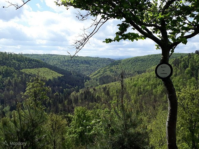 Point de vue du Rocher du Corbeau