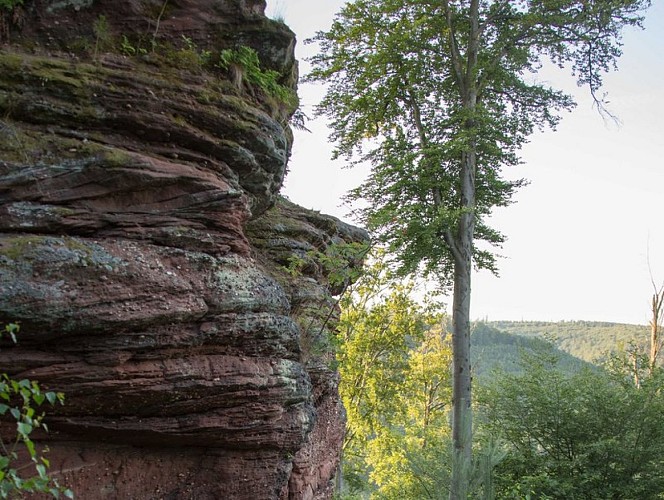 L'immense Rocher du Corbeau, partie haute