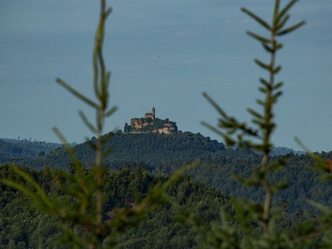 Vue du Rocher du Dabo depuis la tour de Brotsch