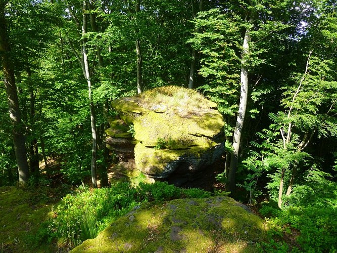 Sur les rochers de la Grotte d'Amour