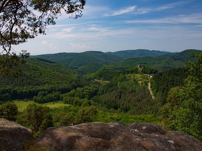 Vue depuis le rocher de Krappenfels