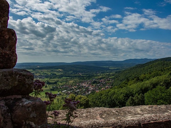 Château-fort du Haut Barr