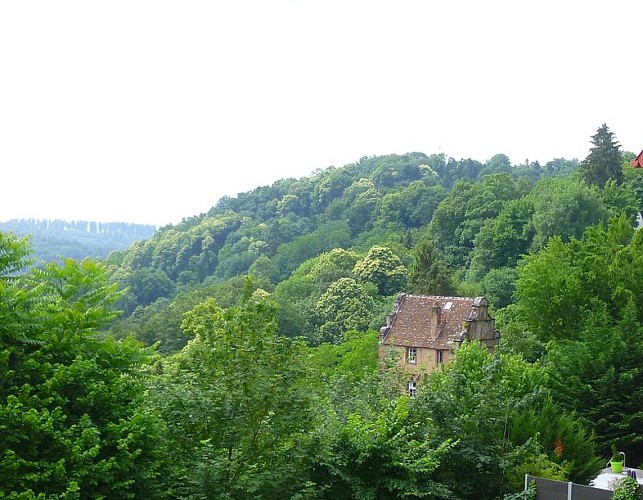 La Maison des Païens, perdue dans son océan de verdure