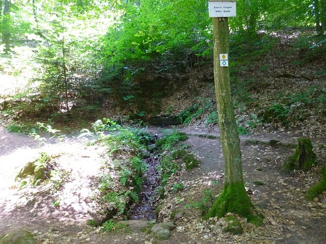 La Source d'Argent