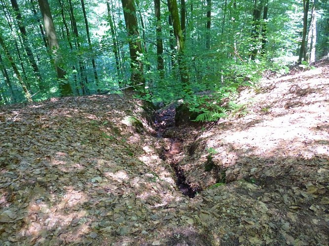 L'eau issue de la Source d'Argent coule sur le flanc du Silberberg