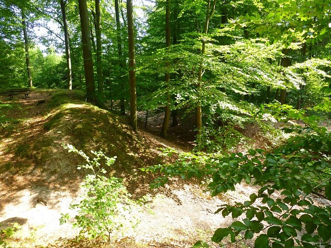 Lignes de la Lauter