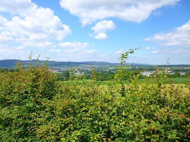 Panorama du Geisberg