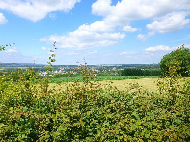Panorama du Geisberg