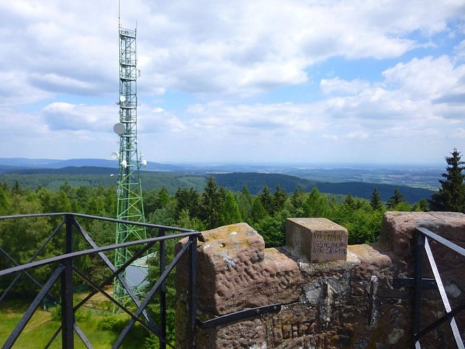 Vue depuis le sommet du Grand Wintersberg