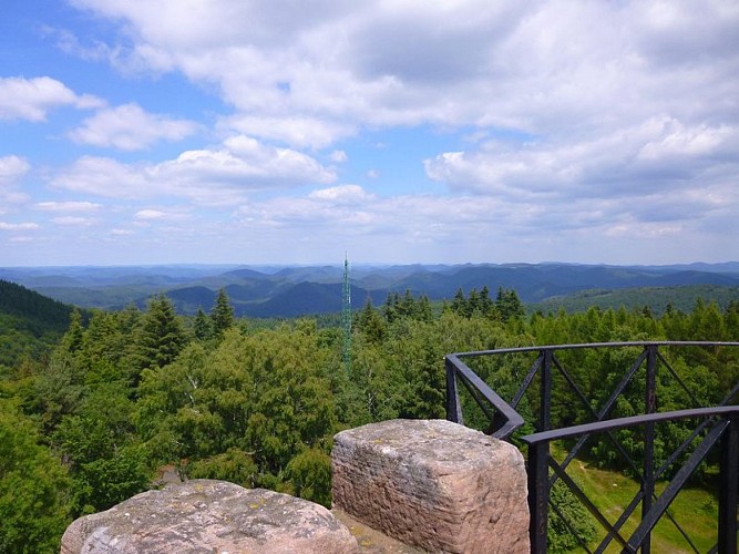 Vue depuis le sommet du Grand Wintersberg