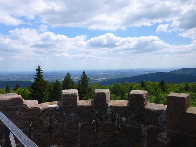 Vue depuis le sommet du Grand Wintersberg