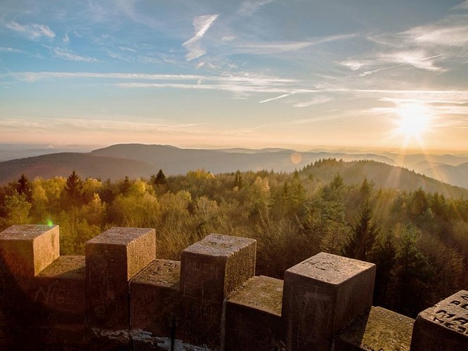 Vue au soleil couchant du Grand Wintersberg