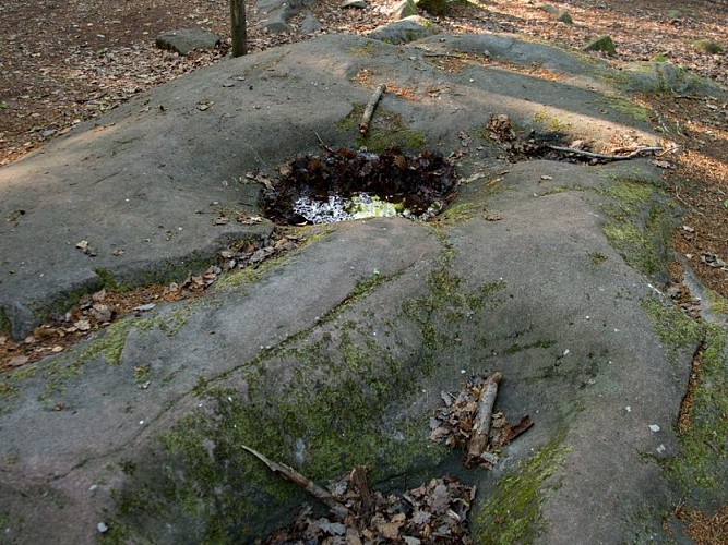 Les pierres à cupules sont reliées par de petits canaux